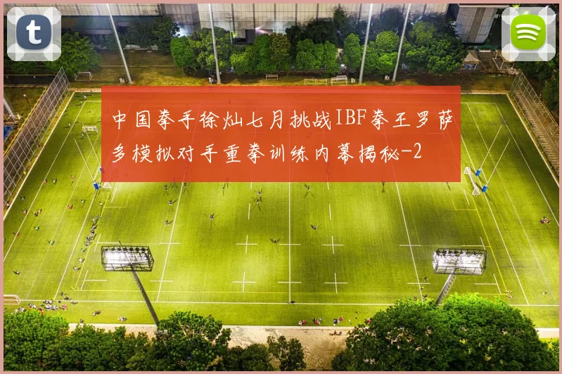 中国拳手徐灿七月挑战IBF拳王罗萨多模拟对手重拳训练内幕揭秘