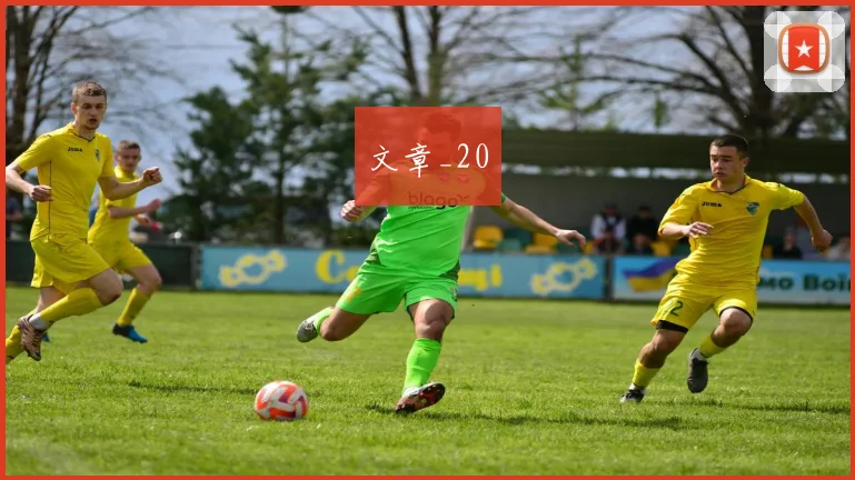 文章_20