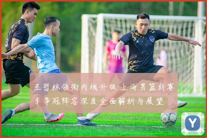 王哲林领衔内线升级 上海男篮新赛季争冠阵容深度全面解析与展望